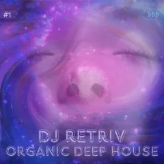 Organic Deep House #1