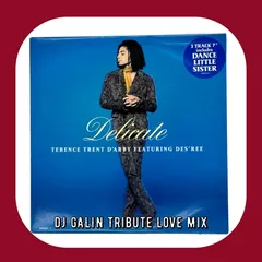 Terence Trent D'Arby feat. Des'ree - Delicate (DJ GALIN Tribute Love Mixes)