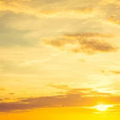 Sunsets 248