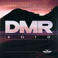 DMR#013