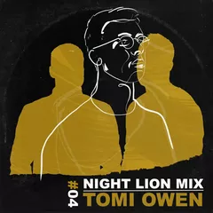 Night Lion Mix (CD #4)
