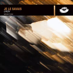 Je le savais (Radio Mix)