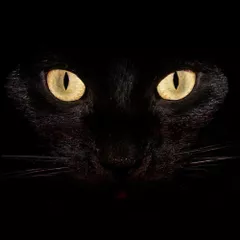 Dark Space Part. 7