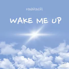 Wake Me Up