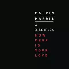 Calvin Harris - How deep is your Love (SizeParty Remix)