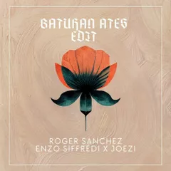 Roger Sanchez & Enzo Siffredi x Joezi - Star Night x Again (Batuhan Ates Edit)