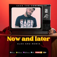 Sage The Gemini - Now and Later (Alex Shu Remix)