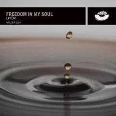 Freedom In My Soul (Original Mix)