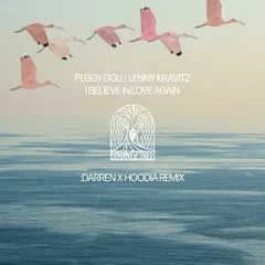 Peggy Gou, Lenny Kravitz - I Believe In Love Again (DARREN X Hoodia Remix)