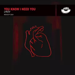 You Know I Need You (Original Mix)