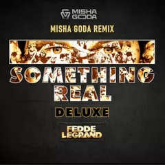 Fedde Le Grand - Rhythm Of The Night (Misha Goda Radio Edit)