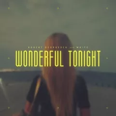 Wonderful Tonight (Cover Remix)