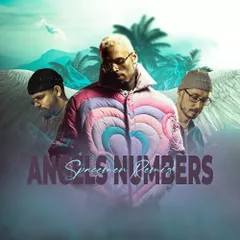 Chris Brown - Angel Numbers (Spacemen Remix)