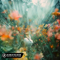 PHURS, Booty Leak & Project Gemini - As Long As You Love Me