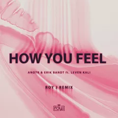 ANOTR & Erik Band ft. Leven Kali - How You Feel (Roy J Remix)