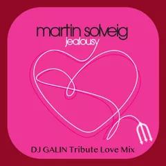 Martin Solveig - Jealousy (DJ GALIN Tribute Love Mixes)