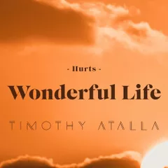 Hurts - Wonderful Life (TIMOTHY ATALLA Mix)