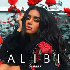 Alibi