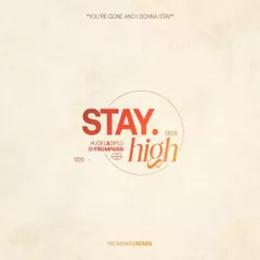 Diplo, Hugel - Stay High (FromParis Remix)