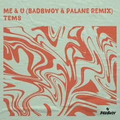 Tems - Me & You (Badbwoy & Palane Remix)