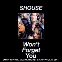 Shouse - Won't Forget You (John Junior, Silviu Andrei & Arty Violin Edit)