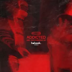 Zerb & The Chainsmokers feat. Ink - Addicted (holseek. Remix)