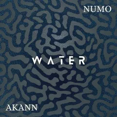 Tyla - Water [Numo & Akann Melodic Afro]