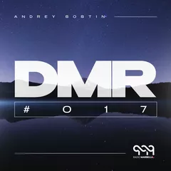 DMR #017