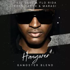 Taio Cruz & Flo Rida X Eran Hersh & Marasi - Hangover (GANGSTER Blend)