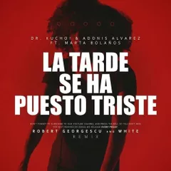Dr. Kucho! - La Tarde Se Ha Puesto Triste (Robert Georgescu And White Remix)