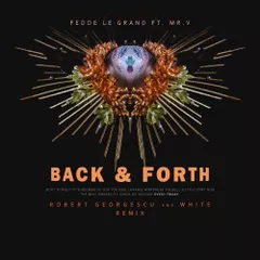 Fedde Le Grand ft. Mr.V - Back & Forth (Robert Georgescu and White Remix)