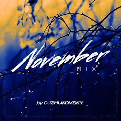 DJ Zhukovsky - November mix