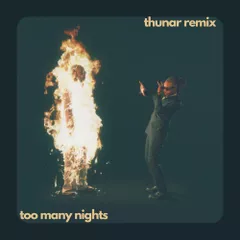 Metro Boomin, Future & Don Toliver - Too Many Nights (Thunar's Late Night Remix)