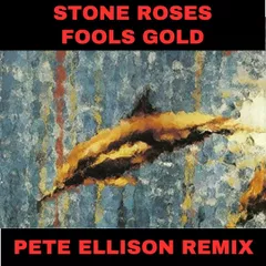 Stone Roses - Fools Gold (Pete Ellison remix)