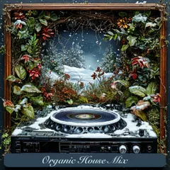 Organic House Mix