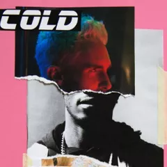 Maroon 5 - Cold (Levo Afro House Edit)