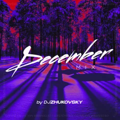 DJ ZHUKOVSKY - DECEMBER best of 2024