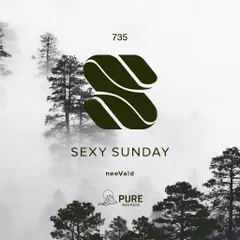 Sexy Sunday Radio Show 735 (PURE IBIZA RADIO)