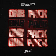 PS PROJECT & ARTEEZ DNB PACK