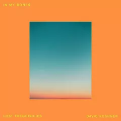Lost Frequencies, David Kushner - In My Bones