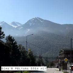 Dima'S Polyana mix