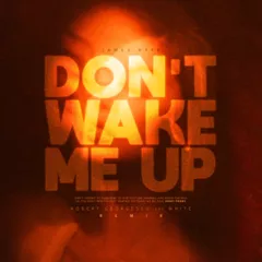 James Hype - Don't Wake Me Up (Robert Georgescu and White Remix)