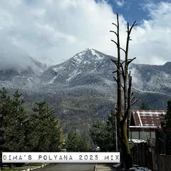 Polyana 2025 Mix
