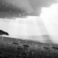 Heavy Rain (Afro Edit)