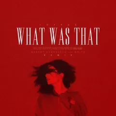 Lorde - What Was That (Robert Georgescu and White Remix)
