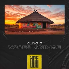 Voces Animae