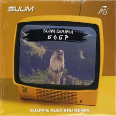 SLAVA SKRIPKA - Бобр (SULIM & ALEX SHU Remix)