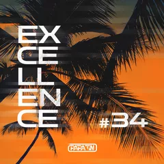 EXCELLENCE MIX 34