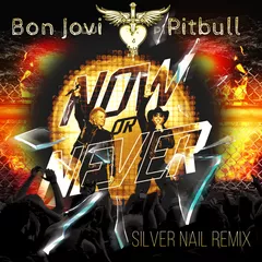 Bon Jovi, Pitbull - Now Or Never (It's My Life) (Silver Nail Remix)