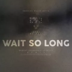 Swedish House Mafia - Wait So Long (Robert Georgescu and White Remix)